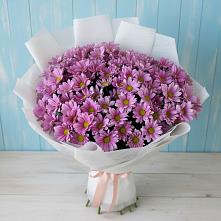 Букет цветов из:  Хризантемы в Сокольники