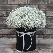 Цветочная композиция из Гипсофила в шляпной коробке #REPLACE_PRED# Сокольники
