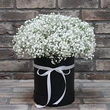 Цветочная композиция из Гипсофила в шляпной коробке в Сокольники
