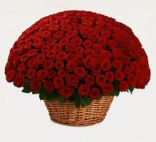 Премиум букет из: Розы в Сокольники